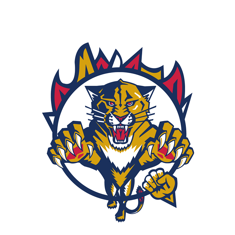 Florida Panthers Entertainment logo DIY iron on transfer (heat transfer)
